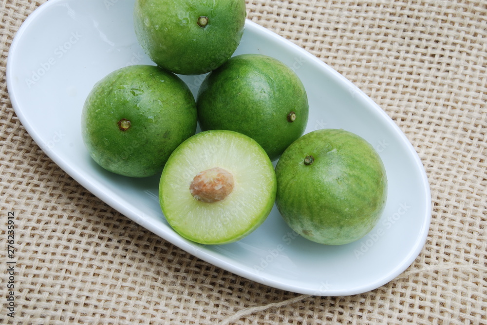 Obraz premium umbu tropical