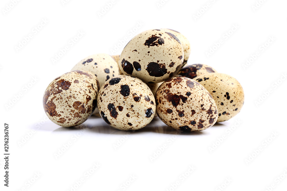 quail eggs set isolated on white background quail eggs set isolated on white background
