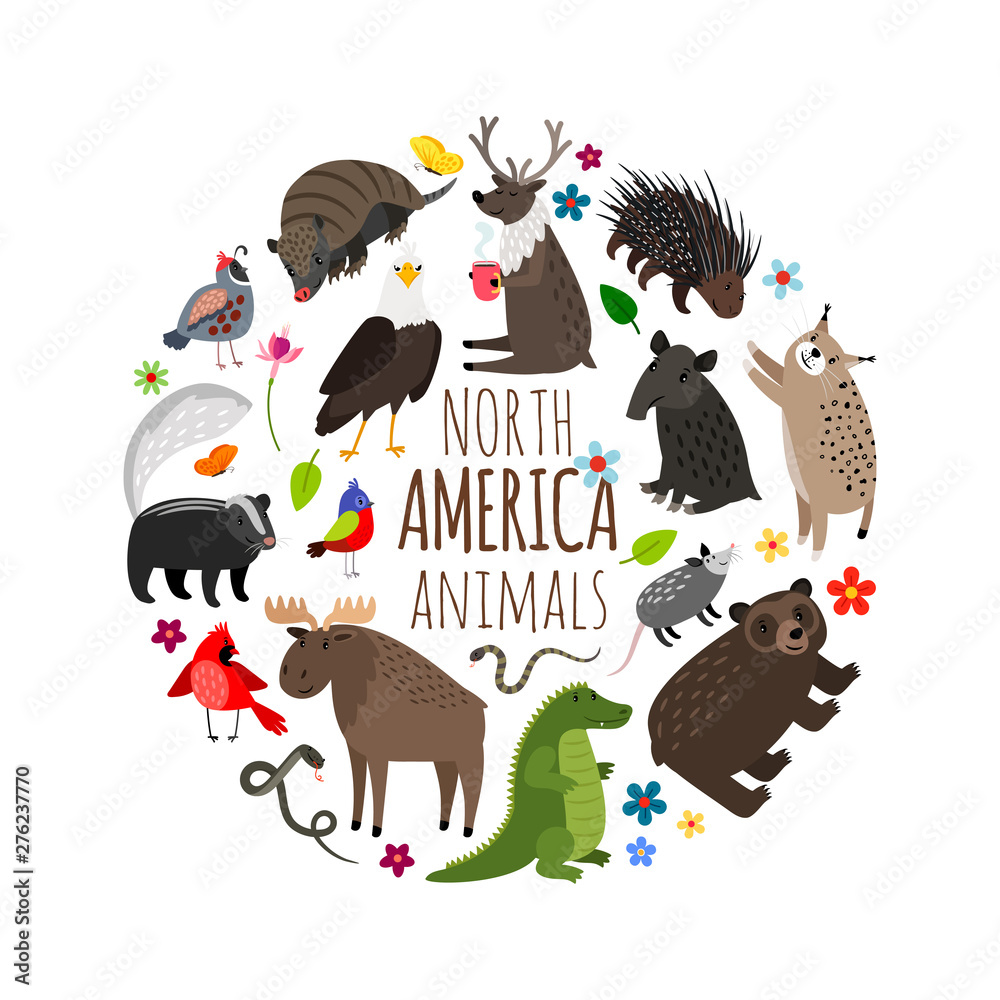 Fototapeta premium Cartoon character animals of America, printable vector banner design
