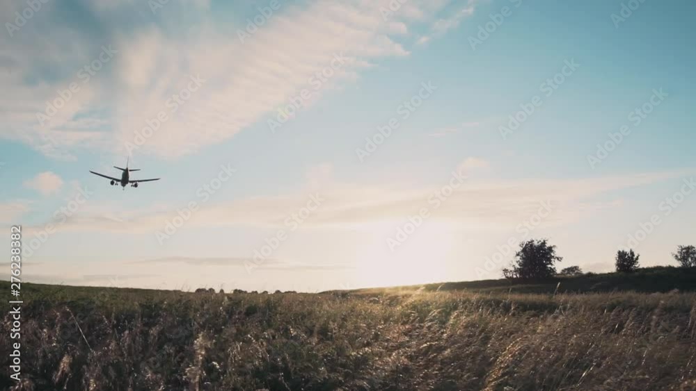Airplane flying over golden meadow at sunset for landing at airport Airplane flying over golden meadow at sunset for landing at airport