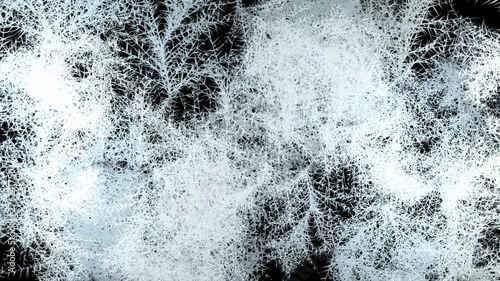 Beautiful freezing animation. Patterns of ice and frost spread to the screen on an isolated black background.