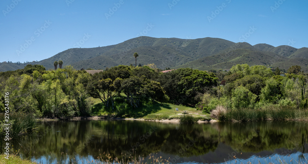 Coastal live oak trees (Quercus agrifolia)  with springtime green grass reflect in the water of a pond, in the hills of Monterey County, California.  