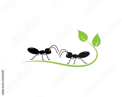 Ant Logo template vector illustration design