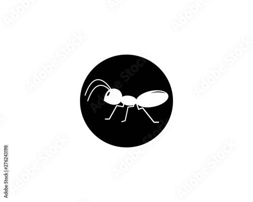 Ant Logo template vector illustration design