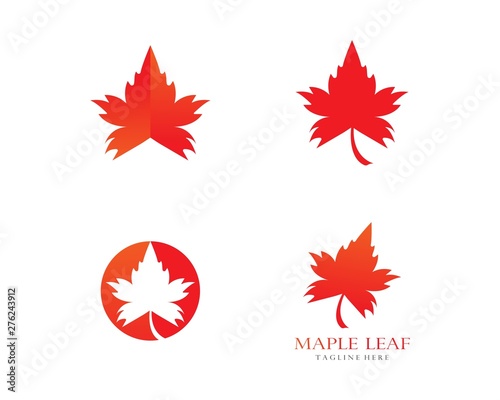 Oak Leaf Logo template vector illustration © amin