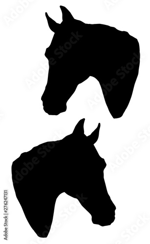 illustration of a horse, isolated monochrome image, black silhouette two head of horses on a white background