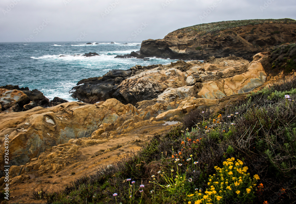California Seascape with Layered Rock Formations and Spring Flowers