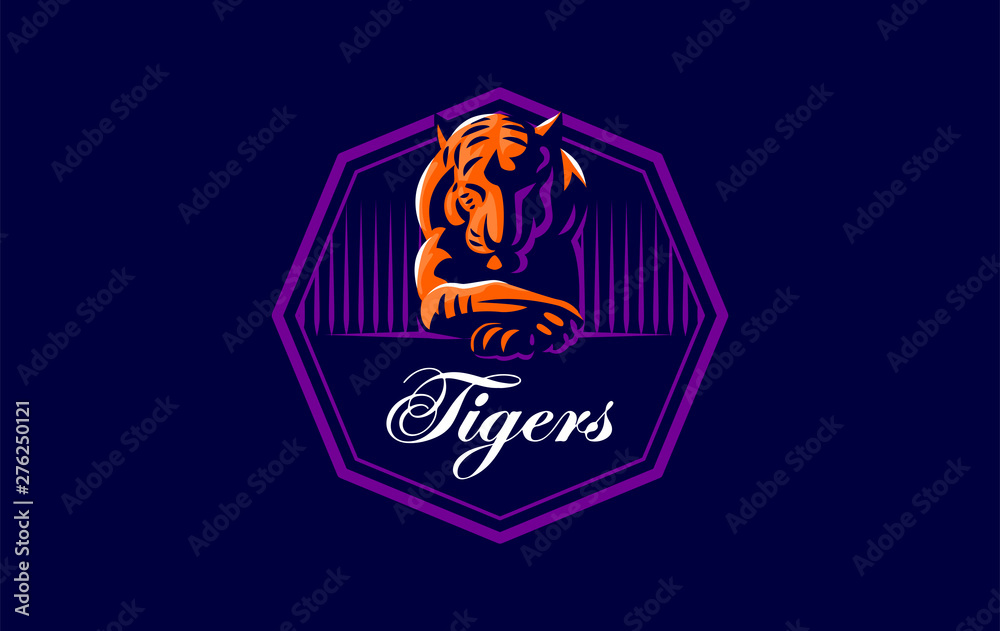 Obraz premium A tiger lies with its head down