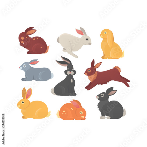 Vector set of cute rabbits in cartoon style. Bunny pet silhouette in different poses. Hare and rabbit colorful animals collection.