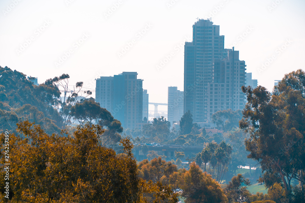 San Diego, USA, 2018. Skyline and trees. Green area in modern city among buildings