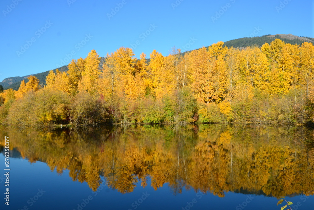 autumn at the pond