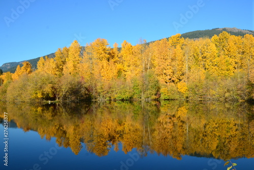 autumn at the pond