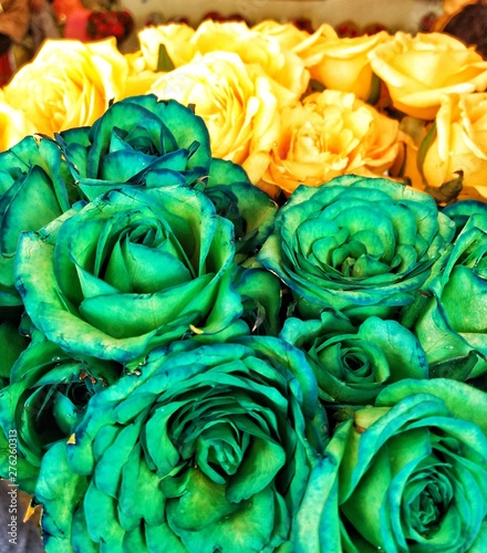 Green & yellow roses