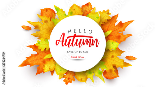 Colorful banner for autumn sale. Vector illustration with autumn leaves of rowan, maple, linden and oak on white background. Seasonal discount offer.