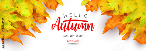 Horizontal colorful banner for autumn sale. Vector illustration with autumn leaves of rowan, maple, linden and oak on white background. Seasonal discount offer.
