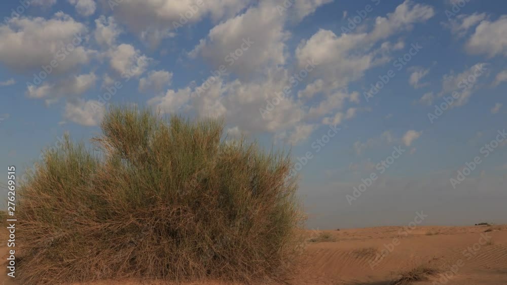 timelapse in the middle of desert timelapse in the middle of desert