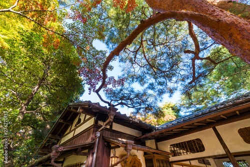 紅葉の殿ヶ谷戸庭園 東屋の風景 photo