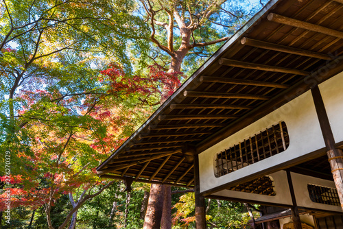 紅葉の殿ヶ谷戸庭園 東屋の風景 photo