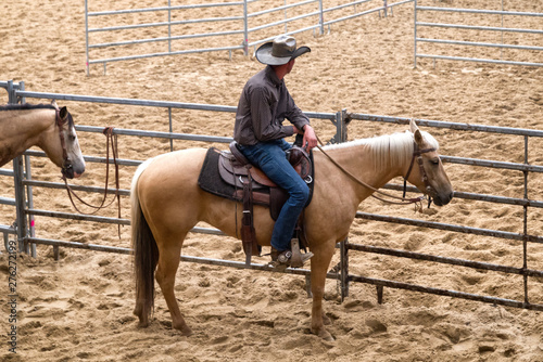 Rancher at rodeo
