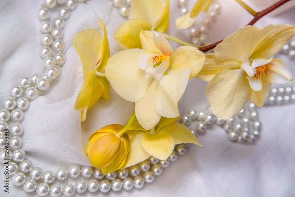 The branch of yellow orchids on white fabric background The branch of yellow orchids on white fabric background