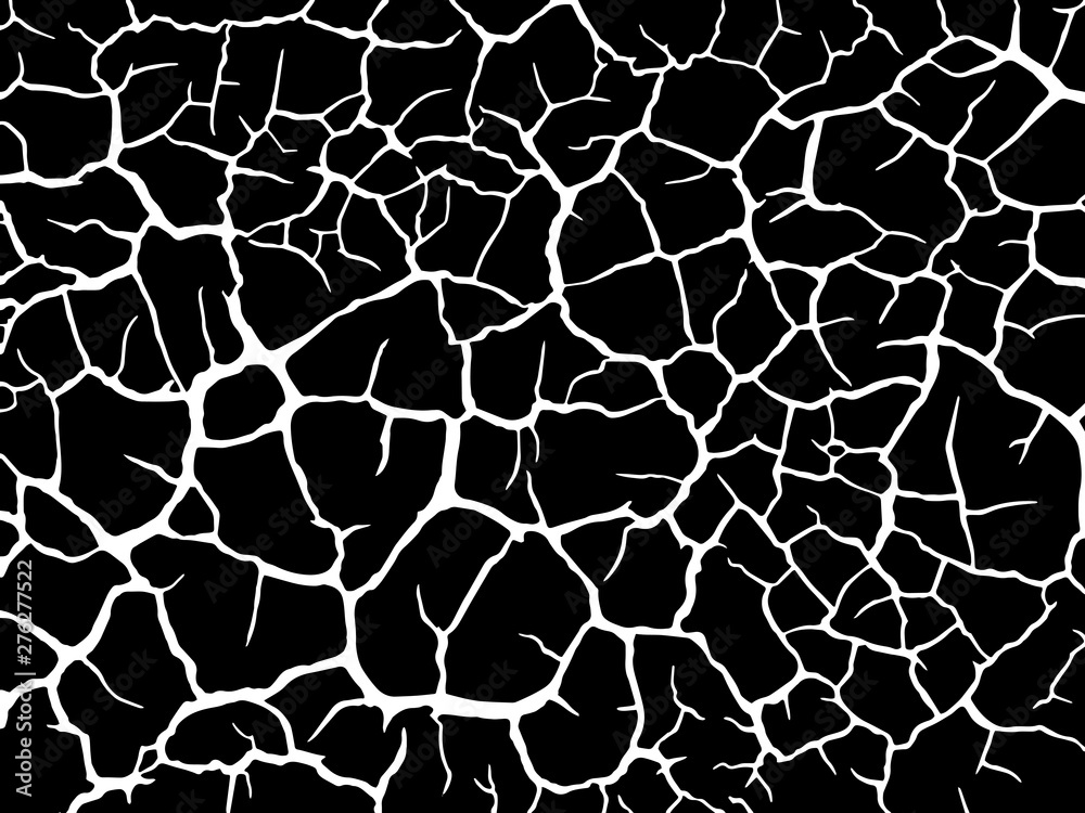 The cracks texture white and black. Vector background.Cracked earth. Structure of cracking. Cracks in dry surface soil texture. shards The cracks texture white and black. Vector background.Cracked earth. Structure of cracking. Cracks in dry surface soil texture. shards