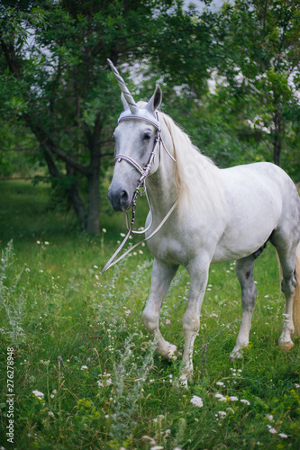 White unicorn on nature. White horse on the lawn