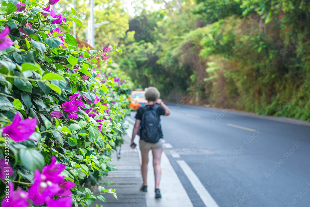 A young girl traveler with a backpack is on an asphalt road. Along the edges of the road is dense tropical exotic vegetation. Rear view, blur.