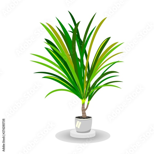 Isolated vector image shows lush green room palm tree in white pot with support on white background