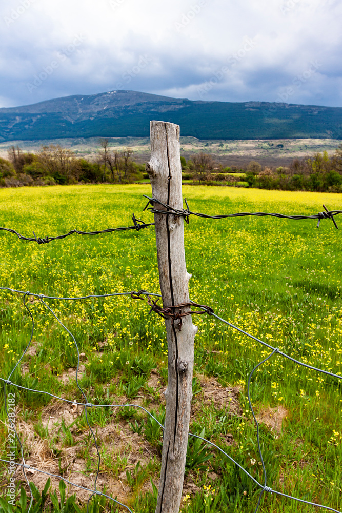 WIRED METAL AND WOOD POST WITH HORIZON OF FIELD OF YELLOW FLOWERS AND MOUNTAINS IN THE HORIZON