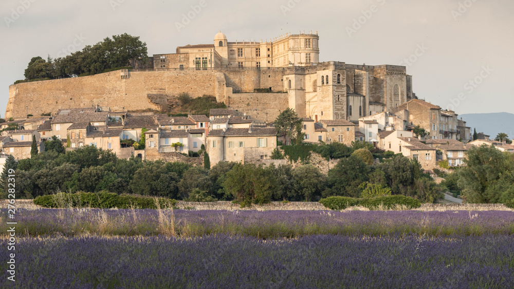 Fototapeta premium lavender field in front of the castle of Grignan in Drôme provençale