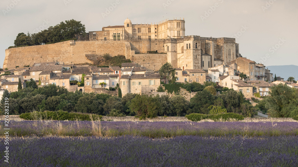 lavender field in front of the castle of Grignan in Drôme provençale