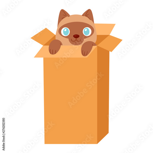 Cat in box vector kitty pet character domestic animal kitten in boxed gift illustration feline set of pussycat hidding in package isolated on white background