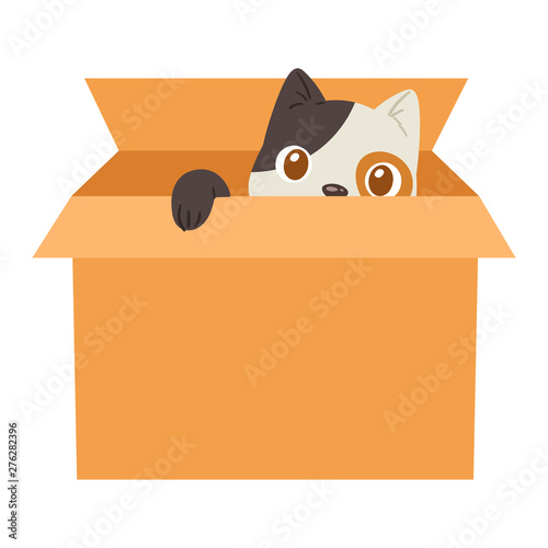 Cat in box vector kitty pet character domestic animal kitten in boxed gift illustration feline set of pussycat hidding in package isolated on white background