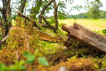 Handdoek met foto Huisarts Natuurtaferelen tussen uitgestrekte akkers  © Matthias