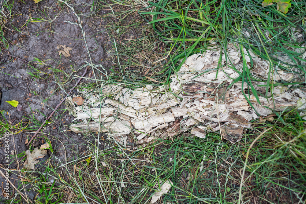 Verschiedene Hintergründe die sich in der Natur befinden Verschiedene Hintergründe die sich in der Natur befinden
