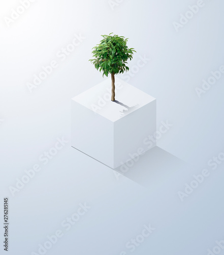 立方体にたたずむ1本の木