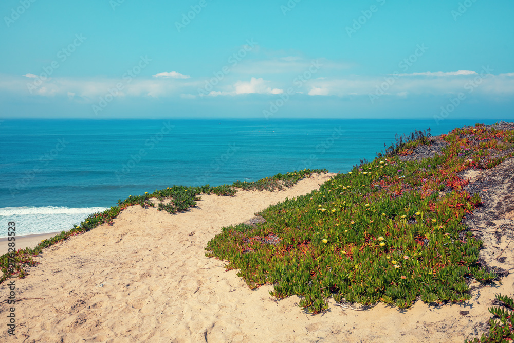 Rocky seashore on a sunny day. Paredes da Vitoria Beach, Portugal, Europe