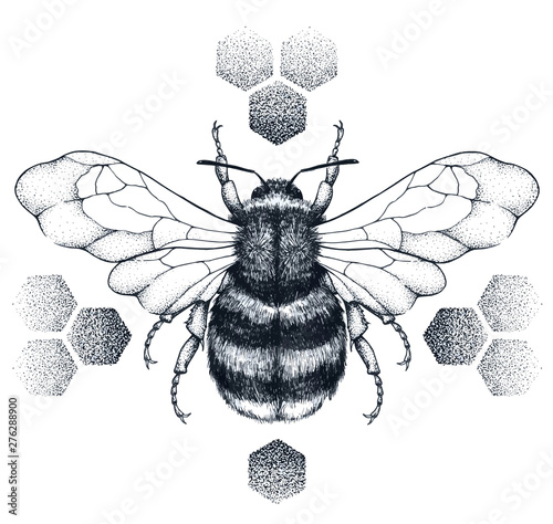 Striped honey bee sits on honeycombs. Tattoo.T-shirt illustartion