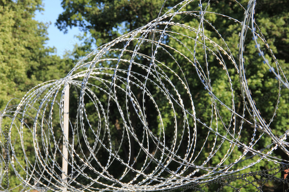 Barbed wire steel fence in the border zone Barbed wire steel fence in the border zone