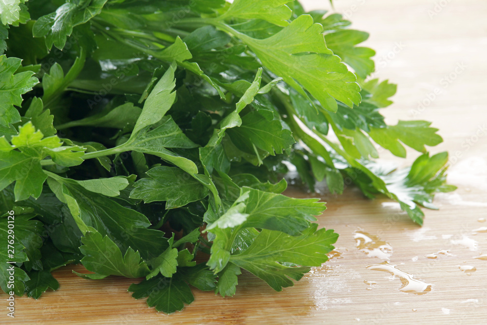A bunch of fresh parsley and dill A bunch of fresh parsley and dill