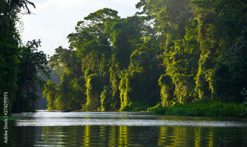 Tortuguero River, Tortuguero National Park, Costa Rica, Central America, America photo
