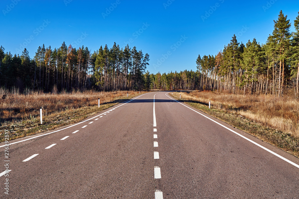 Fototapeta premium Asphalt road in the forest with a turn