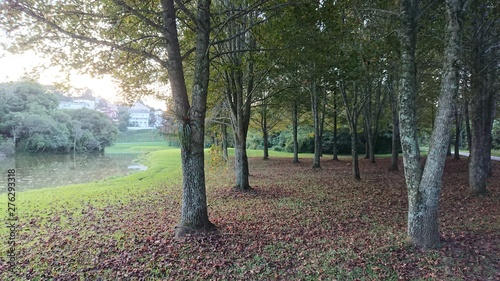 autumn in the park