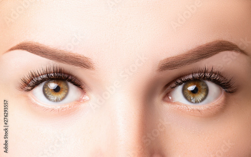 Female eyes with long eyelashes. Classic 1D, 2D eyelash extensions and light brown eyebrow close up. Eyelash extensions, lamination, biowave, microblading concept photo