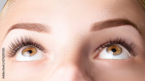 Female eyes with long false eyelashes. Classic 1D, 2D eyelash extensions and light brown eyebrow close up. Eyelash extensions, lamination, biowave, microblading concept photo