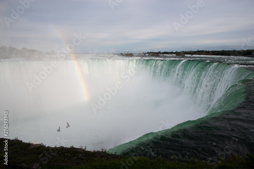 Birds flying towards rainbows at Niagara Falls