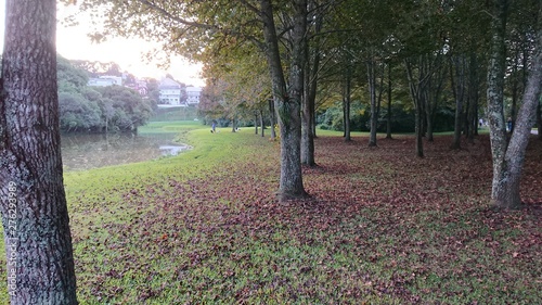 autumn in the park