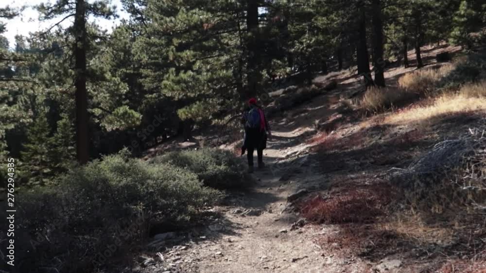 Hiker walking on a trail in the woods of California Hiker walking on a trail in the woods of California