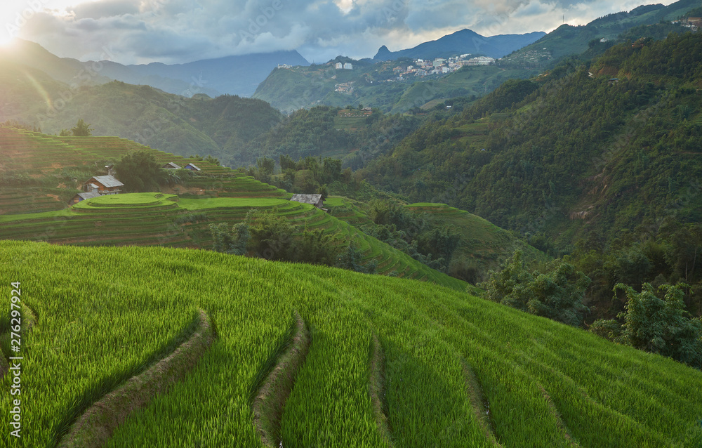 Rice fields on terraced of Sa Pa, YenBai, Vietnam. Rice fields prepare the harvest at Northwest Vietnam.Vietnam landscapes.