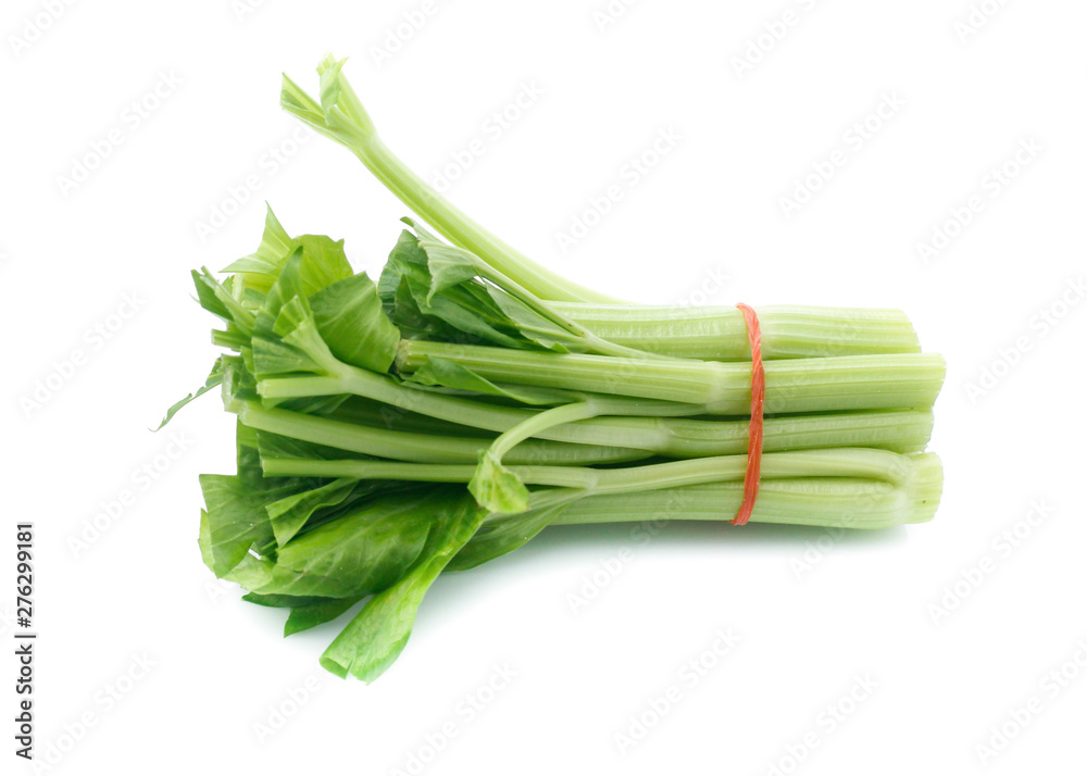 fresh celery isolated on white background fresh celery isolated on white background